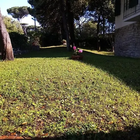 Aurora בית הארחה